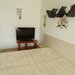 Muncii, Stadion Arena Nationala, bloc mixt, garsoniera
